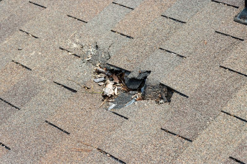 Damaged Roof Replacement in Demorest, GA